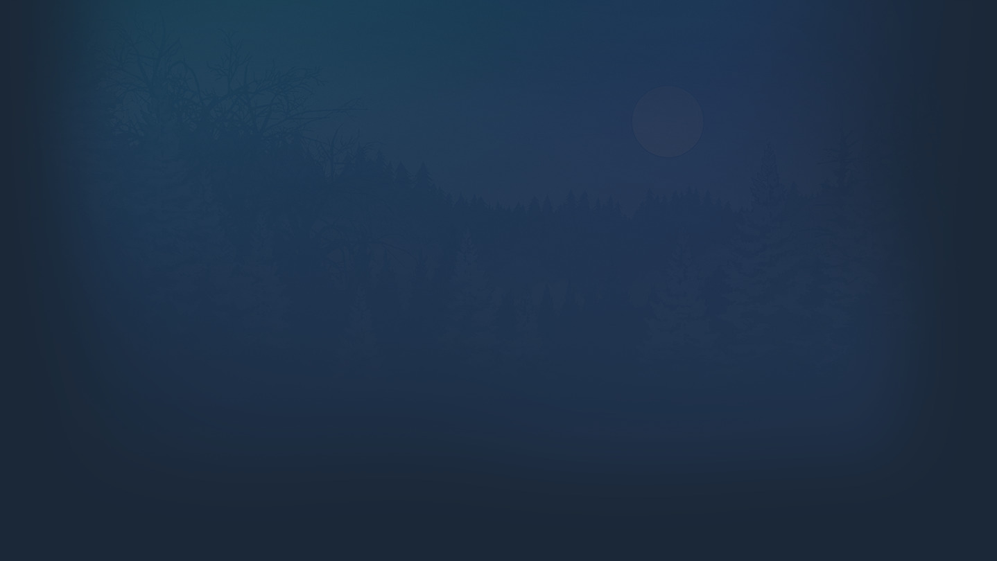 Jeu sur le Store Steam