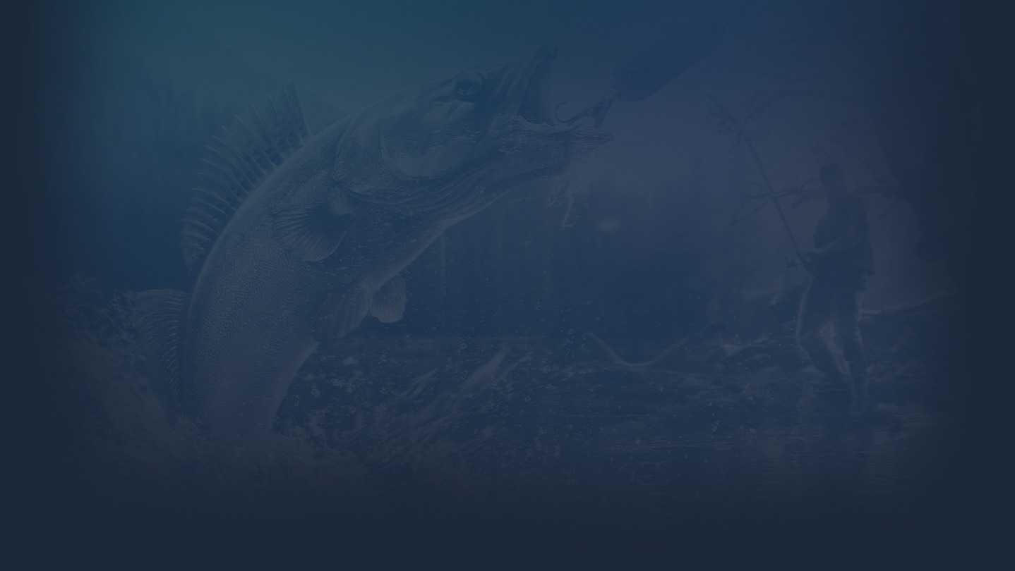 App Background