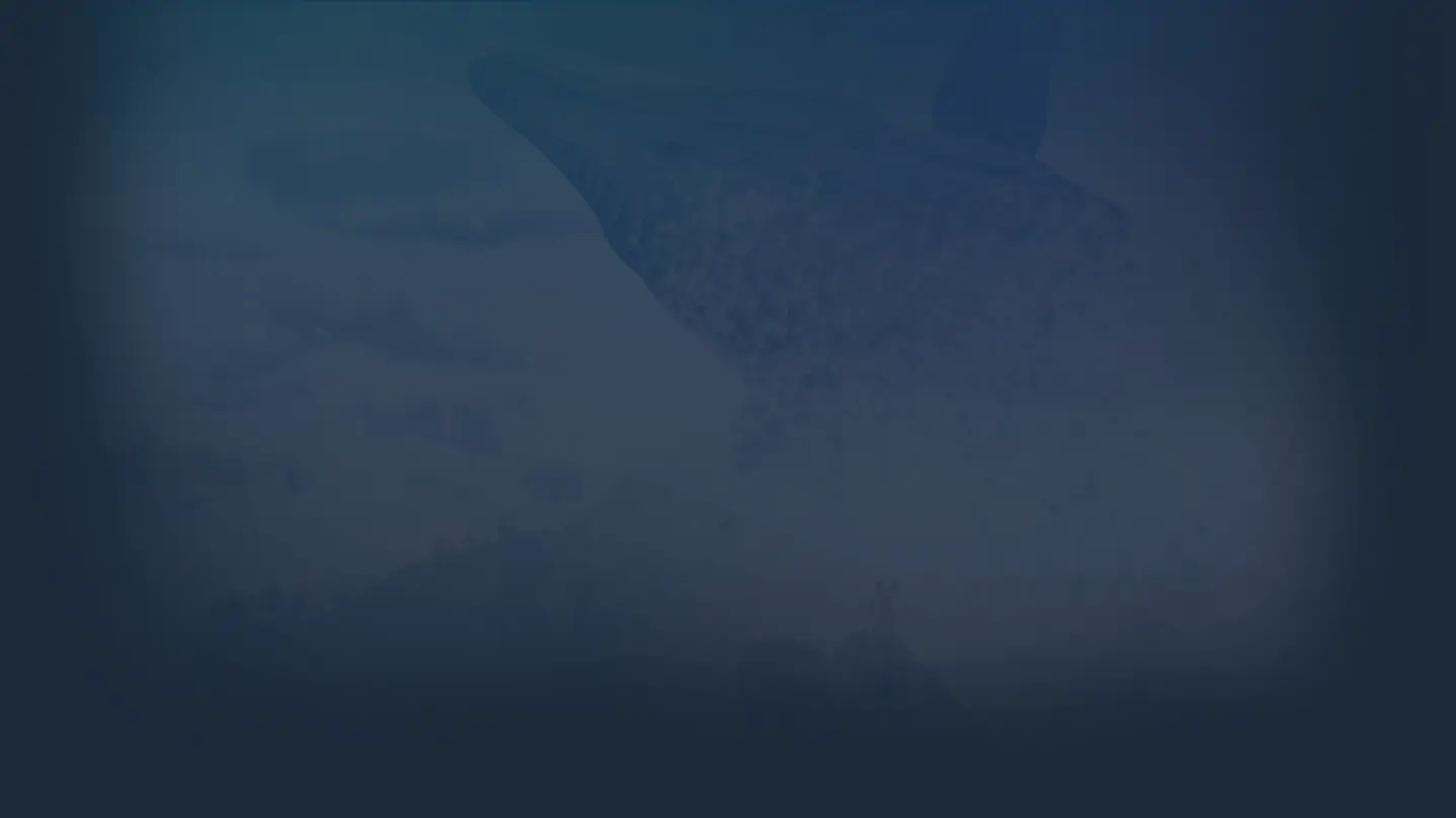 Jeu sur le Store Steam