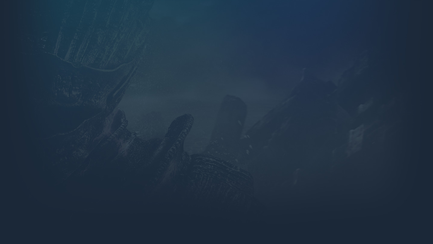 DARK SOULS™ III