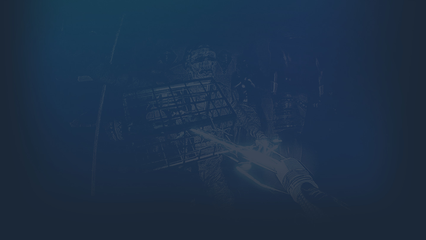 REAP: We Reap What Crawls